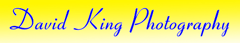 David king Photography Logo