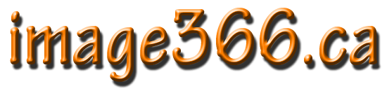 image366.ca logo